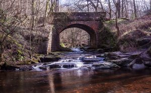 Bridge over May Beck at Falling Foss